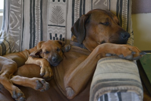 I hope we can be friends