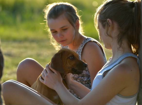 All girls love a puppy