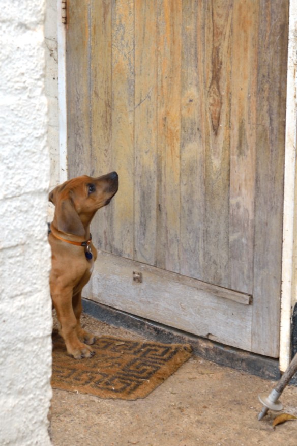 Why have you shut me out?