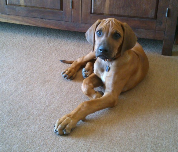 You are going without me?