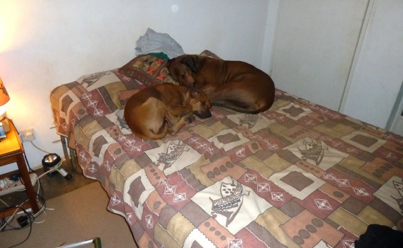 Look, we kept your space for you.