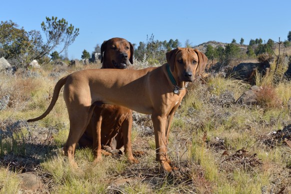 We are all grown-ups now!