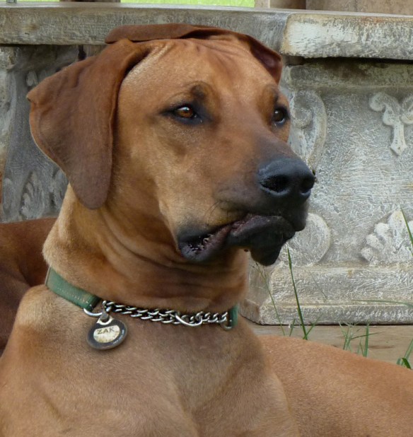 Not always a pretty face...