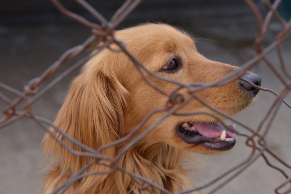 So gentle and abandoned