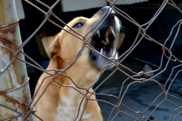 More nerves than anger