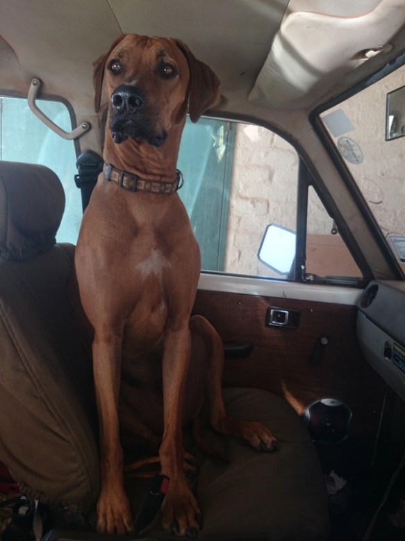 Checking out the view