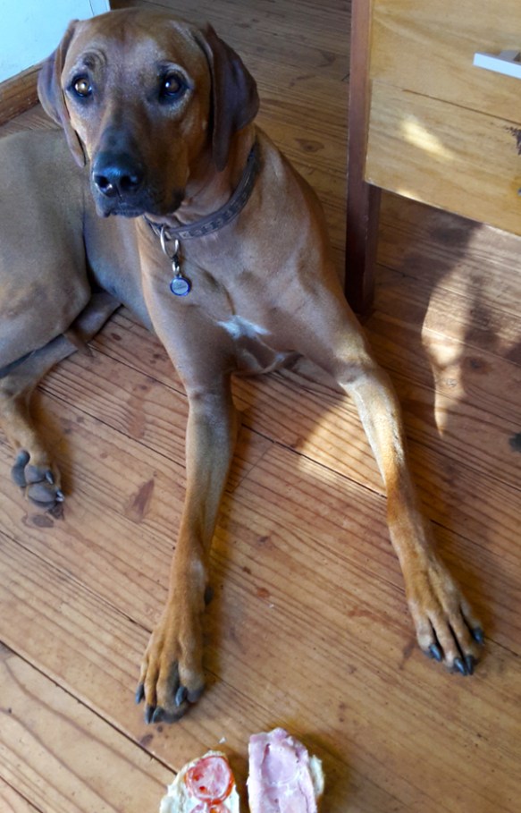 No idea how it go there - honestly!