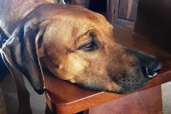 On hearing the news...