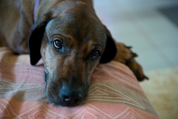 The last day. The eyes say it all.