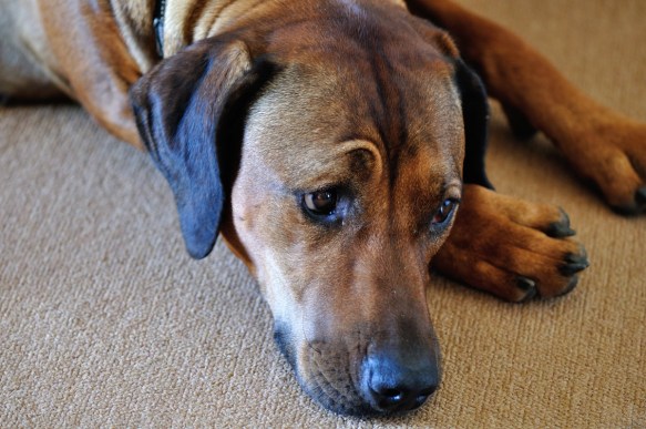 Art of the raised eyebrow